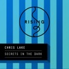 Secrets In the Dark - Single