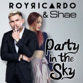 Party in the Sky artwork