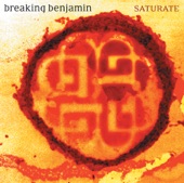 Breaking Benjamin - Skin