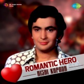 Hum Kisi Se Kum Nahin (From "Hum Kisise Kum Naheen") artwork