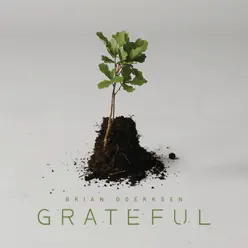 Grateful - Brian Doerksen