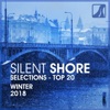 Silent Shore Selections Top 20: Winter 2018