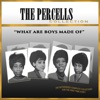 The Percells Collection: What Are Boys Made Of