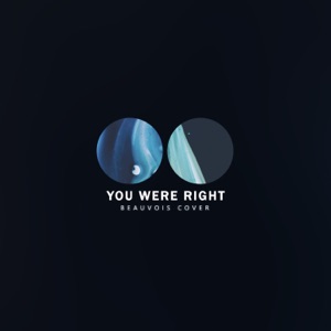 You Were Right - Single