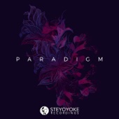 Steyoyoke Paradigm, Vol. 02 artwork