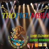 Tropicumbia Mix artwork