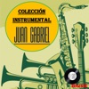 Juan Gabriel Colección Instrumental