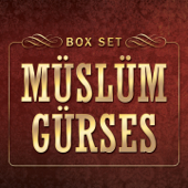 Müslüm Gürses Box Set - Müslüm Gürses