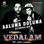Aaluma Doluma (Extended Mix) [From "Vedalam"] - Single