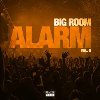 Big Room Alarm, Vol. 8 by Various Artists album reviews, ratings, credits