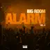 Big Room Alarm, Vol. 8 album cover