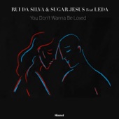 You Don't Wanna Be Loved (feat. Leda) [Radio Edit] artwork