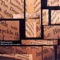 Steely Dan - Steve Pittis lyrics