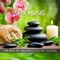 Healing Touch: Reiki Massage - Sensual Massage to Aromatherapy Universe lyrics