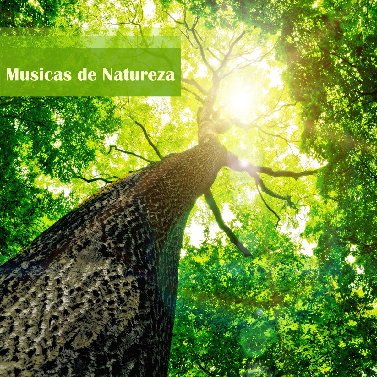 Musicas Da Natureza Musicas Relaxantes Para Dormir Com Som De Passaros Sons Da Chuva E De Agua By Natureza On Apple Music