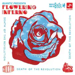 Juanita Bonita (Quantic Presenta Flowering Inferno) Song Lyrics