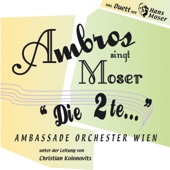 Ambros singt Moser - Die 2te artwork