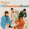 The Best of the American Breed