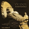 Que De Raro Tiene by Vicente Fernández iTunes Track 4