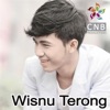 Terong-Terongan - Single