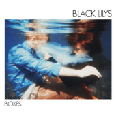 Boxes - Black Lilys