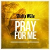 Pray for Me - Single