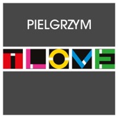 Pielgrzym (Radio Edit) artwork