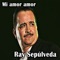 Mi Amor Amor - Ray Sepulveda lyrics