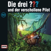 Folge 163: und der verschollene Pilot artwork