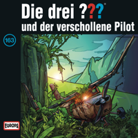 Die drei ??? - Folge 163: und der verschollene Pilot artwork