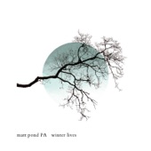 Matt Pond PA - The Glow