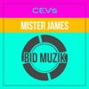 Mister James - Single