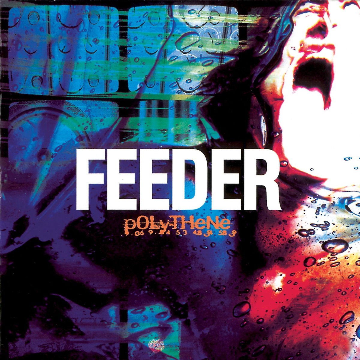 Polythene Album Cover By Feeder