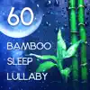 60 Bamboo Sleep Lullaby: Instrumental Calmness, Oasis of Relaxing Sounds, Deep Sleep Music, Insomnia Therapy album lyrics, reviews, download