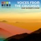 Kartis Hangebi - Satamasho - Gori Women's Choir & Shalva Mosidze lyrics