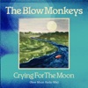 Crying for the Moon - Single