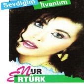 Sevdiğim (İlvanlım) artwork