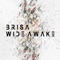 Wide Awake - BRISA lyrics
