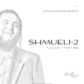 Shmueli 2 artwork