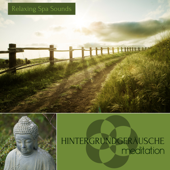 Hintergrundgeräusche Meditation - Naturgeräusche und Soundeffekte, Meditationsmusik zur Entspannung und Beruhigung (Meeresrauschen, Vogelstimmen und Regengeräusche Edition) - Fairy Garden