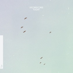 Lycoriscoris - Kite