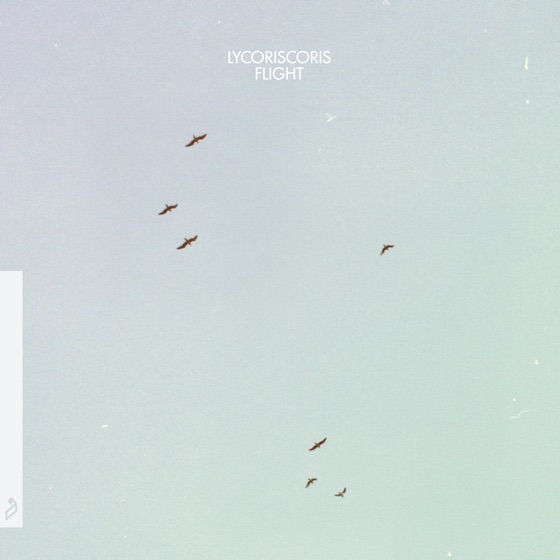 Cover artwork for Echo