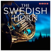 The Swedish Horn artwork