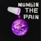 Numbin' the Pain - Young Icee lyrics
