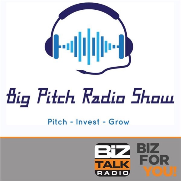 The Big Pitch Radio Show cover