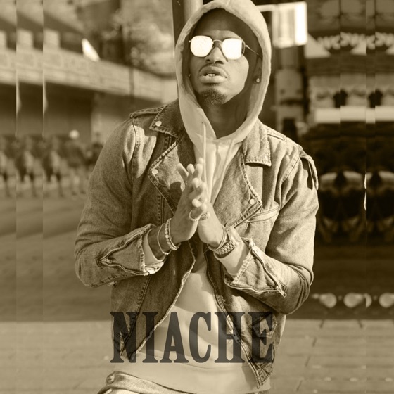 Cover artwork for Niache