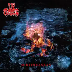 Subterranean - EP - In Flames