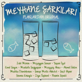 Meyhane Şarkıları (Plaklardan Orijinal) - Verschiedene Interpreten