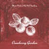 Peter Sandberg - Lightdrops