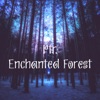 Enchanted Forest - Single, 2016